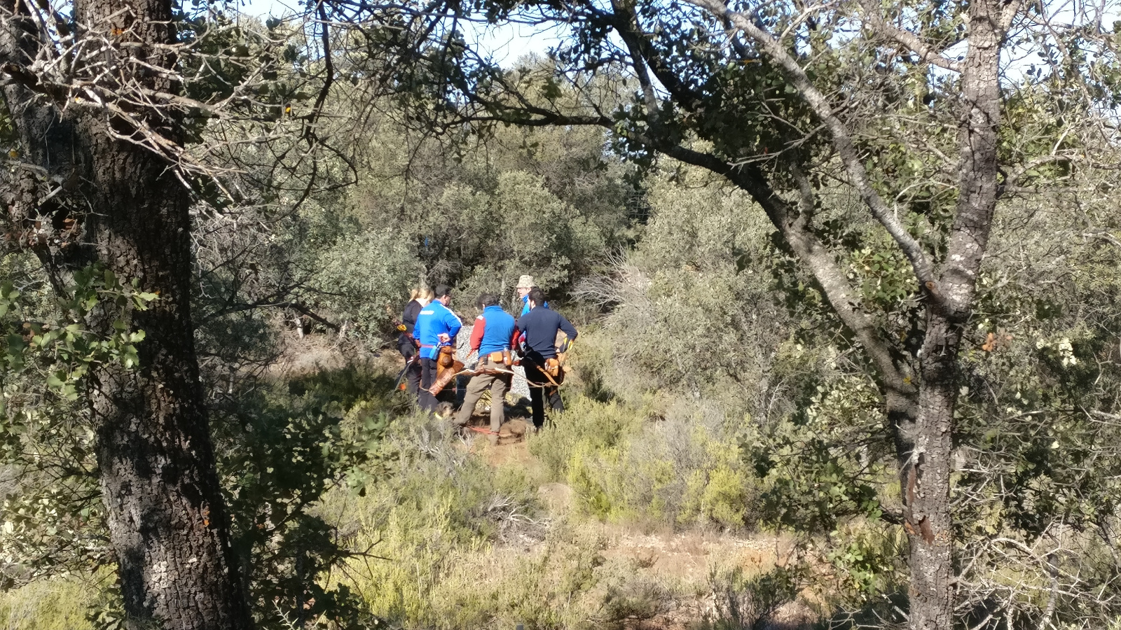 I Tirada Liga Centro Bowhunter IFAA en Arqueros del Alto Tajo