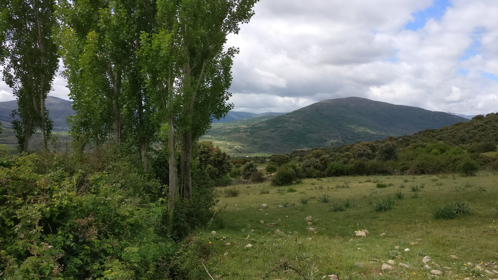 IV Tirada Liga Centro Bowhunter IFAA en Arqueros Marqués de Suances