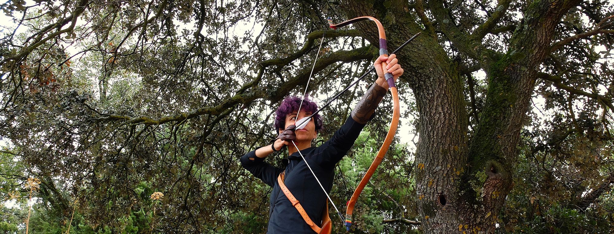 Authentic KTB, arco coreano de Freddie Archery, primeras impresiones